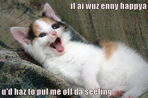 Happy Lolcats Lol Cat Memes Funny Cats Funny Cat Pictures