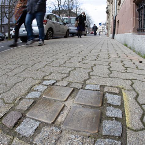 Stolpersteine Lalsace Pavée De Bonnes Intentions Lami Hebdo