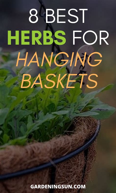 Best Herbs For Hanging Baskets Herbs Hanging Baskets Herb Pots