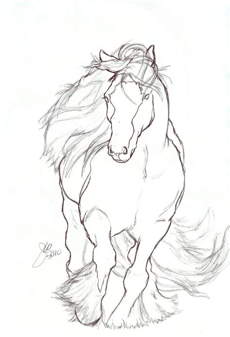 Horse Rearing Drawing at GetDrawings | Free download