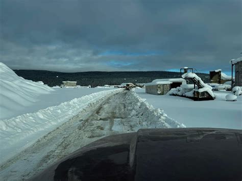 was tony beets sentenced to life in prison 6