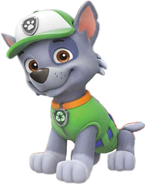 Download Transparent Rocky Paw Patrol Png Pngkit