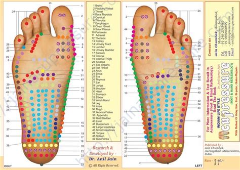 106 Best Reflexologia Acupresión Digitopuntura Masajes Images On Pinterest Massage