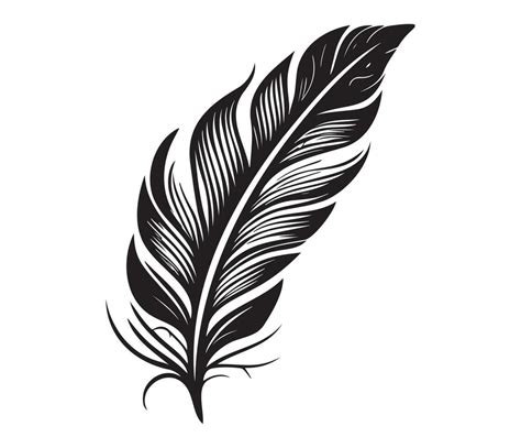 Fluffy Feather Silhouette Bird Feathers Simple Style Vector Image