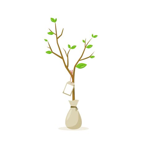 Sapling Vector Art, Icons, and Graphics for Free Download