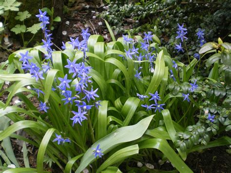 ТОПЛО, ЦВЕТНО, ВКУСНО: синчец