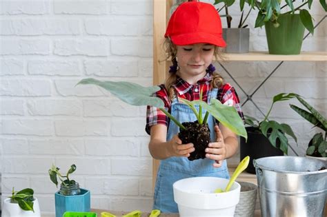 Garota Transplanta Um Filodendro De Planta De Casa Em Um Novo Solo