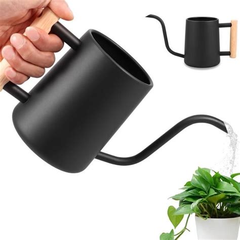 Arrosoir Pour Plantes D Int Rieur L Long Bec En Acier Inoxydable Avec