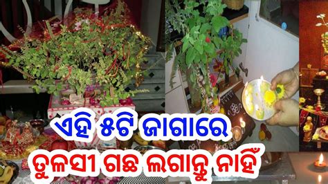 ତୁଳସୀ ଗଛକୁ ଭୁଲରେ ବି ଏହି ୫ ଟି ଜାଗାରେ ଲଗାନ୍ତୁ ନାହିଁ L Story Point। Youtube