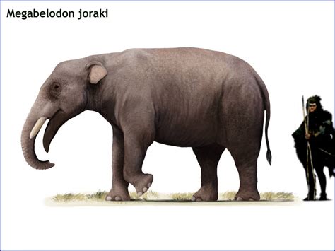 Megabelodon Joraki By Cisiopurple On Deviantart
