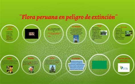 Plantas en peligro de extinción del Perú by on Prezi