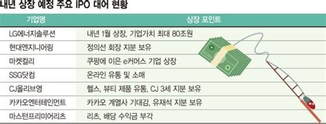 Lg엔솔·현대eng내년 역대급 Ipo 시장 열린다 네이트 뉴스