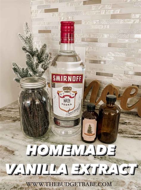 Homemade Vanilla Extract Recipe 2 Ingredients