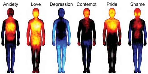 Look How Body Temperature Changes When Youre In Love Or Depressed