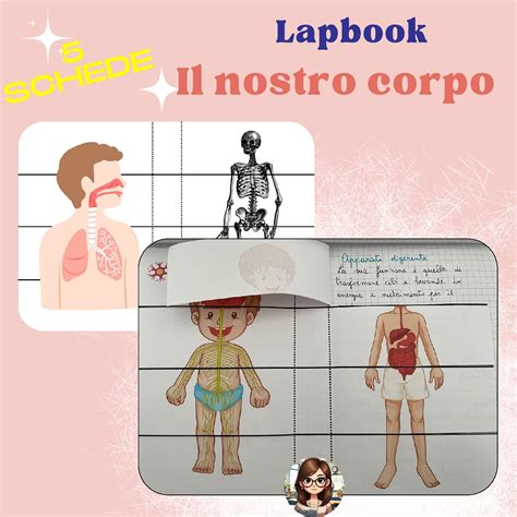 Lapbook Il Nostro Corpo Schede Didattiche Edudoro