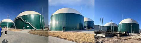 Two Unit M Cstr Enamel Steel Digester For A Cow Farm Biogas Plant