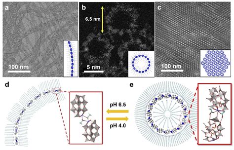 POM Single Cluster Assemblies With Tunable Structures A TEM Image Of