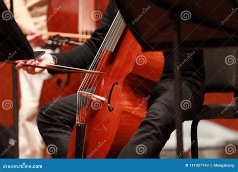 Cello Player. Composer, Music. Portrait of Cellist Playing Classical ...