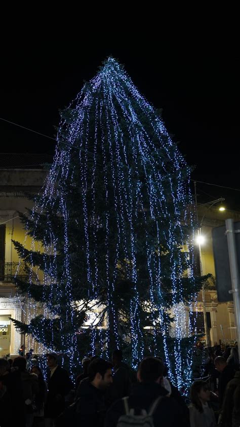 Messina Si Accendono Gli Alberi Di Natale Bellissimo A Piazza Unione