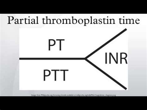 Partial Thromboplastin Time YouTube