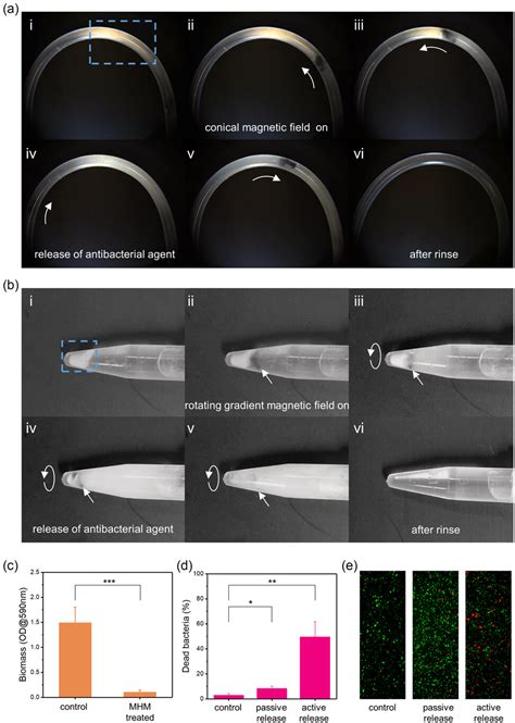 Magnetic Hydrogel Micromachines With Active Release Of Antibacterial