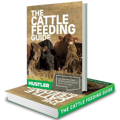 FREE CATTLE FEEDING GUIDE | Best ways to feed out hay bales