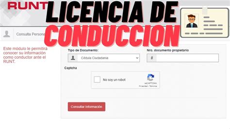 C Mo Saber Si Alguien Tiene Carnet De Conducir Descubre Los Pasos Y