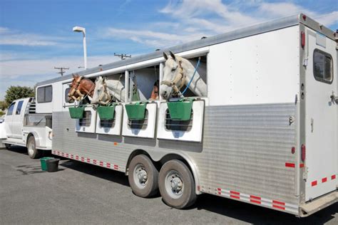 5 Best Horse Trailers With Living Quarters Fit For A Queen Horse Rookie