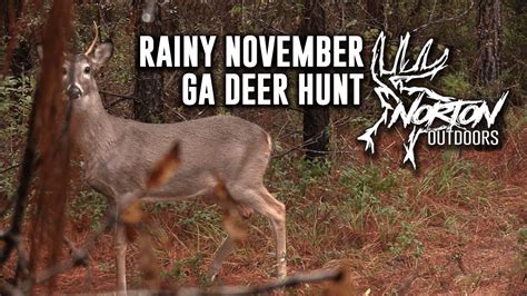 Rainy November Ga Deer Hunt Self Filmed 2019 2020 Season Youtube