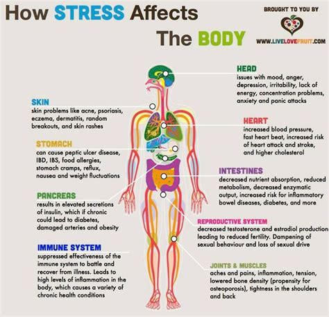 Stress And Its Affects On The Body Infographics Pinterest