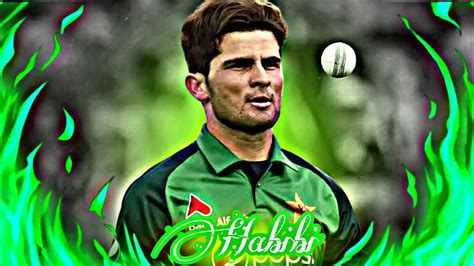 Shaheen Shah Afridi Wickets Shahenshah Afridi Status Cricket