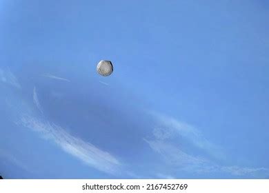 183 Proteus Moon Images, Stock Photos & Vectors | Shutterstock