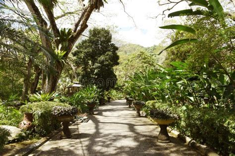 Japanese Garden walkway stock image. Image of flower - 138031225