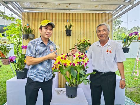 Mãn nhãn tại Festival Hoa lan TP HCM lần II