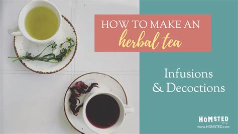 How To Make An Herbal Tea Infusion And Decoction Homsted