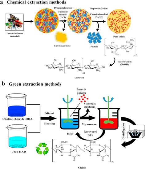 Recent Insights Into The Extraction Characterization And