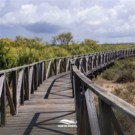 Turismo Cartaya El Rompido Y Nuevo Portil