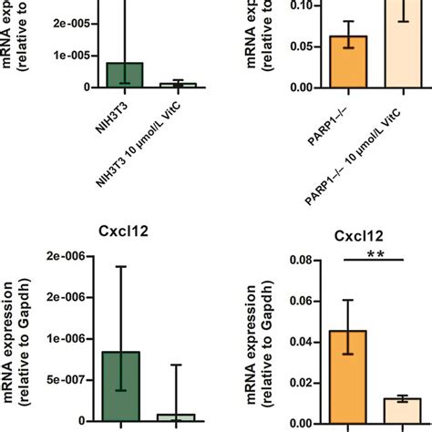 Comparison Of Relative Expresssion Levels Of Cxcl12 In Control Download Scientific Diagram