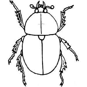 Besouro Para Colorir - 75+ Desenhos de Besouro para Imprimir e Colorir/Pintar