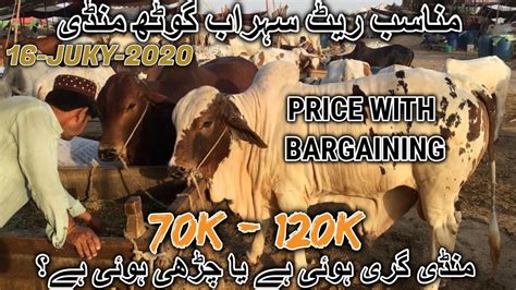 Cattle Prices With Bargaining Latest Update Sohrab Goth Maweshi Mandi