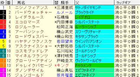 京成杯2024予想【過去データと軸馬 と妙味ある馬】 ｜ 競馬sevendays