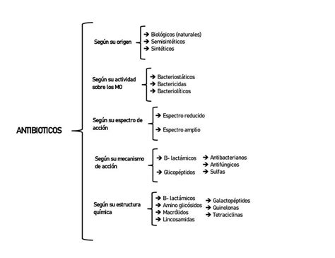 Antibióticos | Lara Maff | uDocz