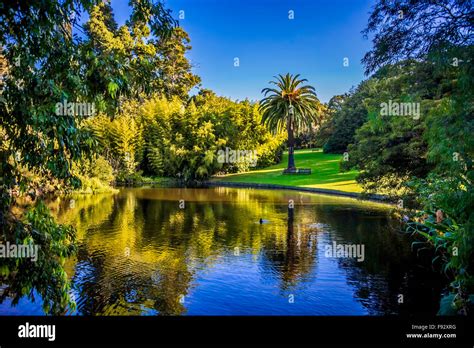 Beautiful Ornamental Lake, Royal Botanic Gardens, Melbourne Australia ...