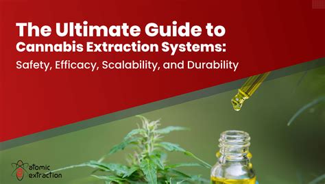 The Ultimate Guide To Cannabis Extraction Systems Safety Efficacy