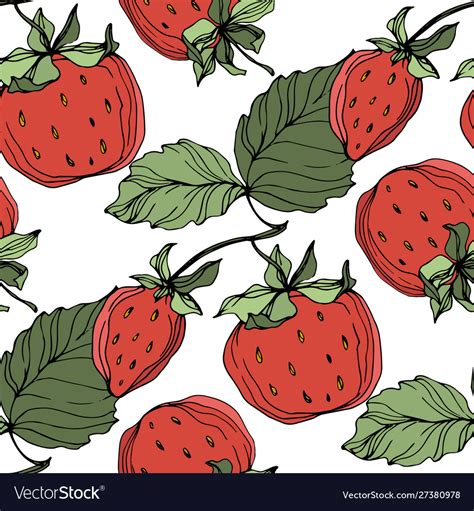 Strawberry fruits green leaf red Royalty Free Vector Image