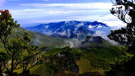 Open Trip Gunung Gede Fournusatravelindo