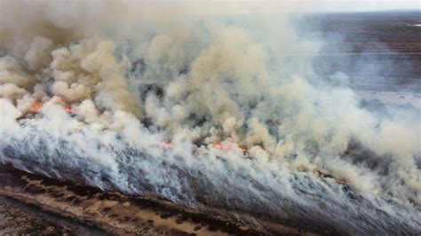 Hasta La Nasa Los Incendios En El Delta Del Paraná Pueden Verse Desde