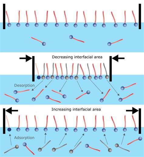 Interfacial Rheology DataPhysics Instruments