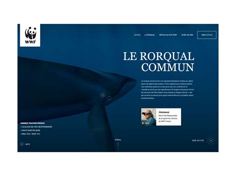 Discover the Rorqual - Awwwards