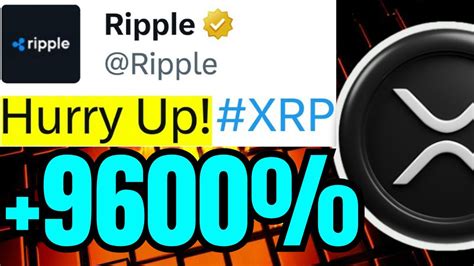 The Ceo Of Xrp Ripple Reveals Everything Get Ready For A Huge Pump